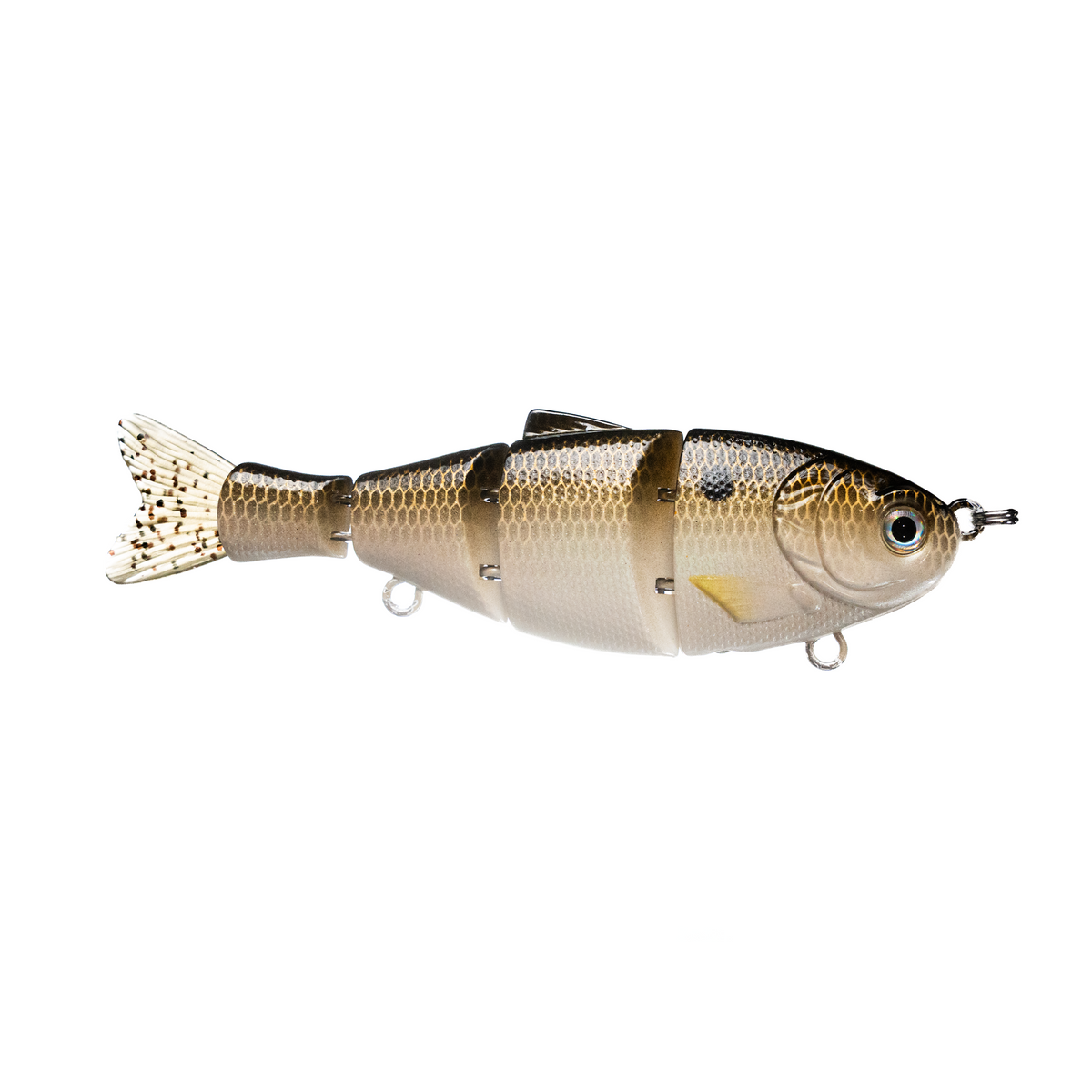 Donkey Bite 5.5