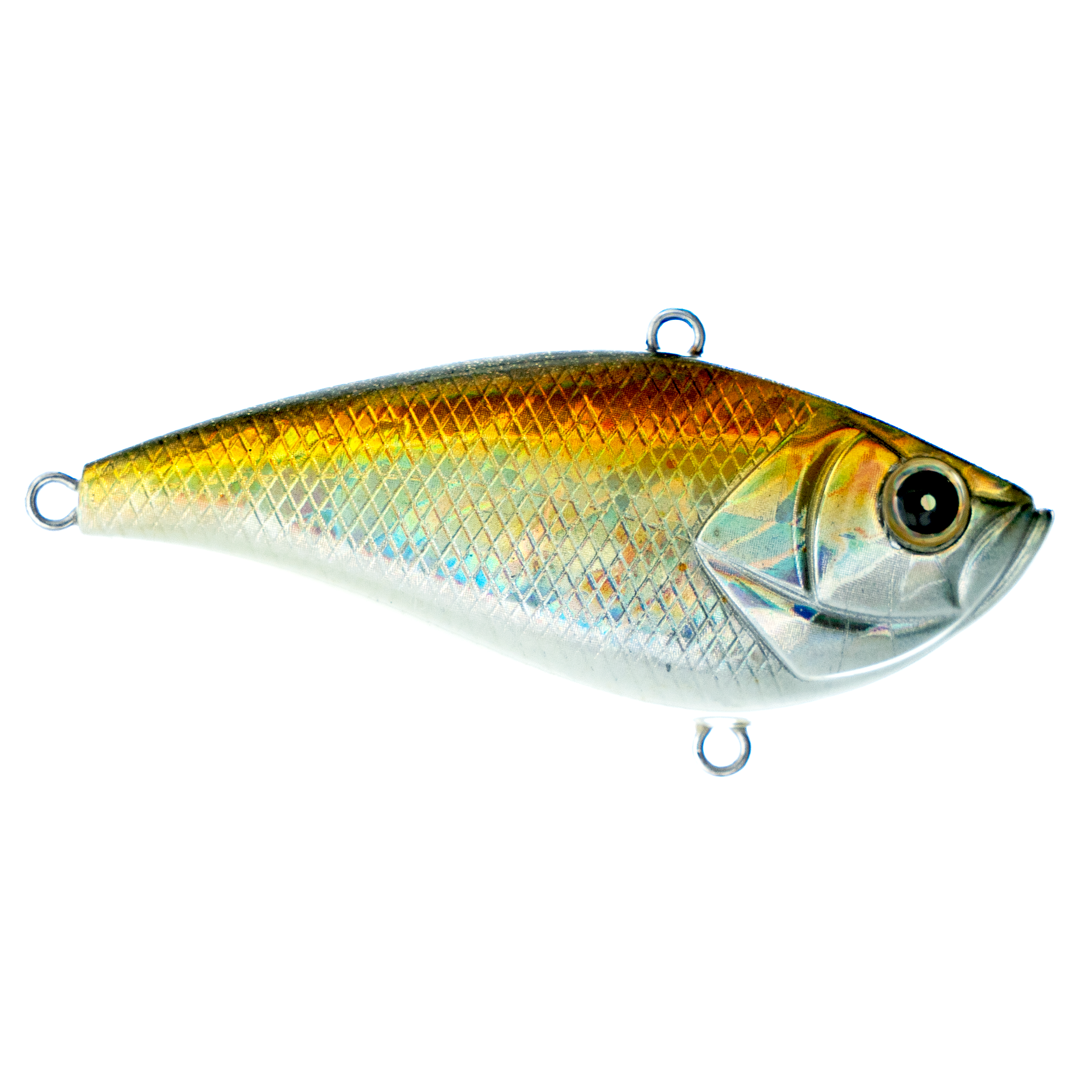 Shaker Z Knock Knock Lipless Crankbait