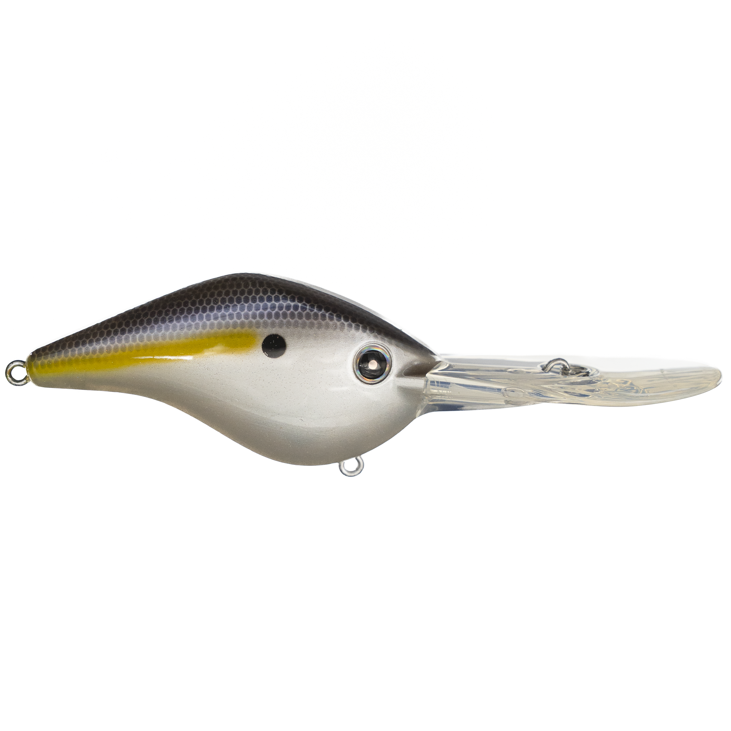 Z Boss 25