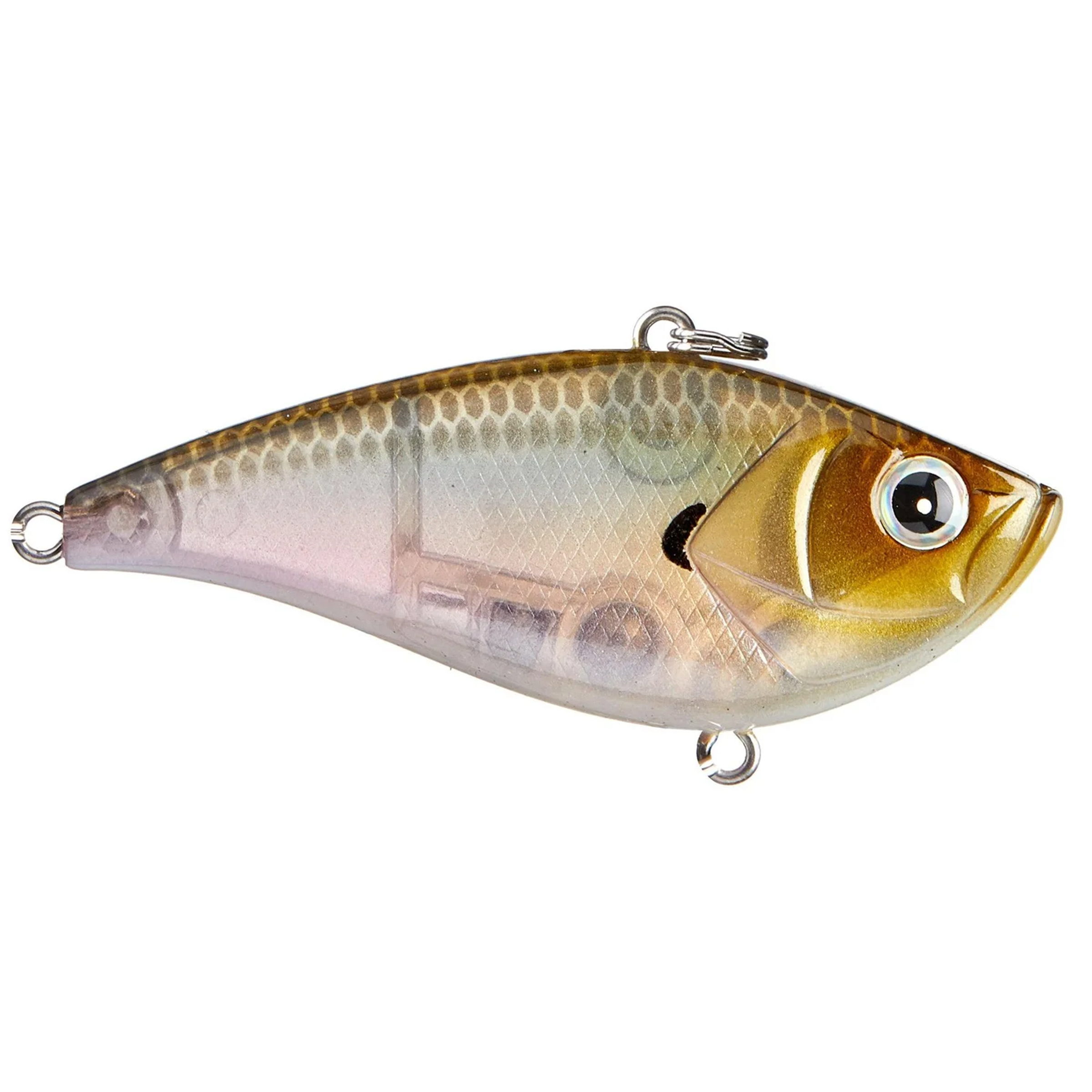 Shaker Z Lipless Crankbait