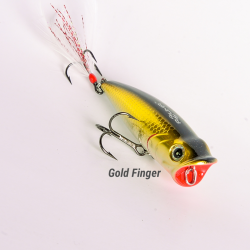 Popper Z