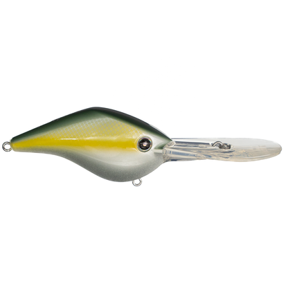 Z Boss 25